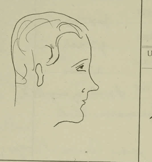 Blyantsprofil af en ung mand i venstre profil, tegnet i signalementsfeltet på stambogsbladet fra 1913